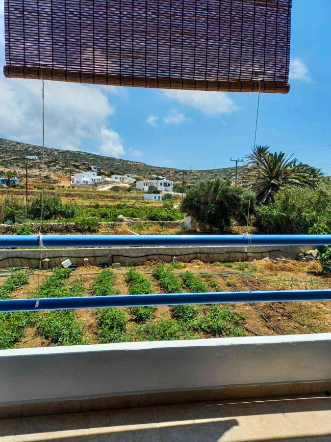 Marianna Studios Đảo Đảo Donoussa Ngoại thất bức ảnh